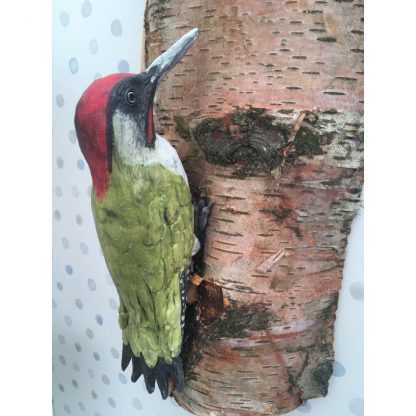 Woody the Green Woodpecker