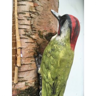 Woody the Green Woodpecker