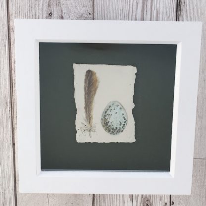 Tree Sparrow feather & egg on porcelain, wooden box frame
