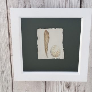 Robin egg & feather porcelain box frame