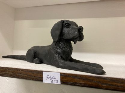 Bruce the Black Labrador - Image 2