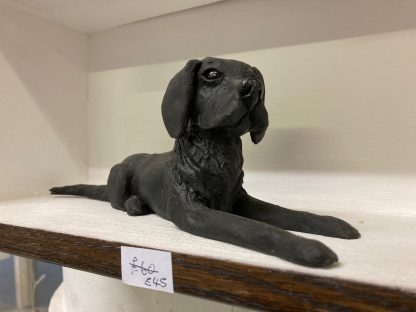 Bruce the Black Labrador - Image 3
