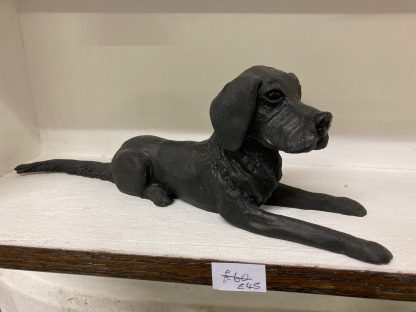 Bruce the Black Labrador