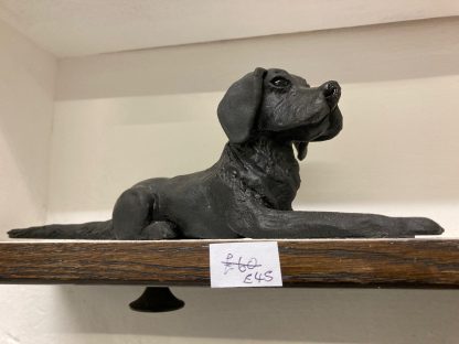 Bruce the Black Labrador - Image 5