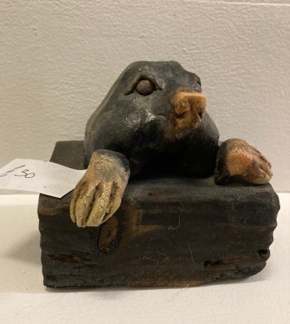 Malcolm the Mole