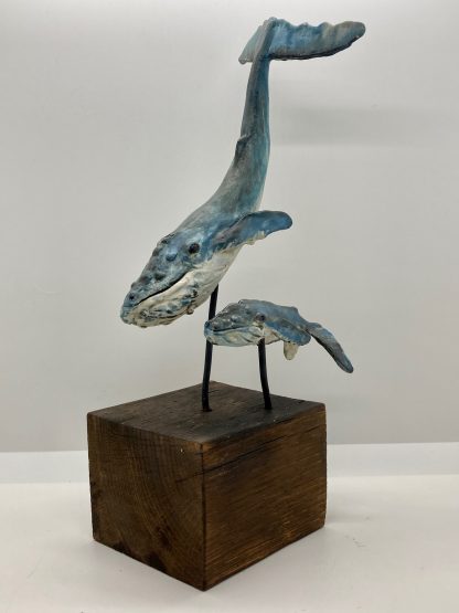 Honesty and her baby Hero the Humpbacks - Image 12
