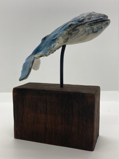 Herbie the humpback - Image 3