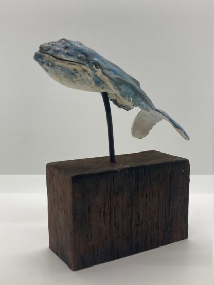 Herbie the humpback