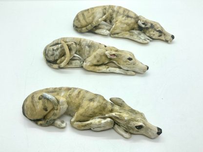 Sleeping Lurchers