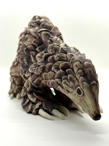 Peter the Pangolin - Image 13