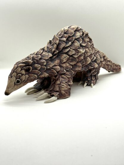 Peter the Pangolin - Image 4