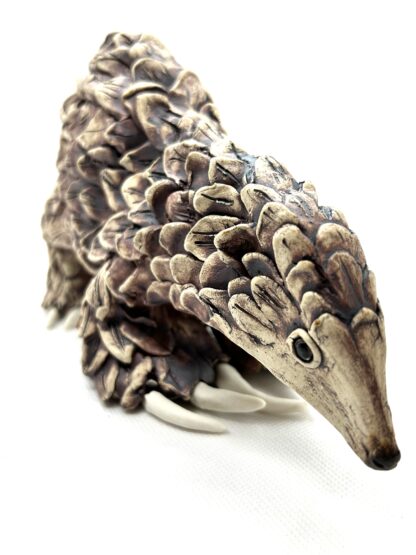 Peter the Pangolin